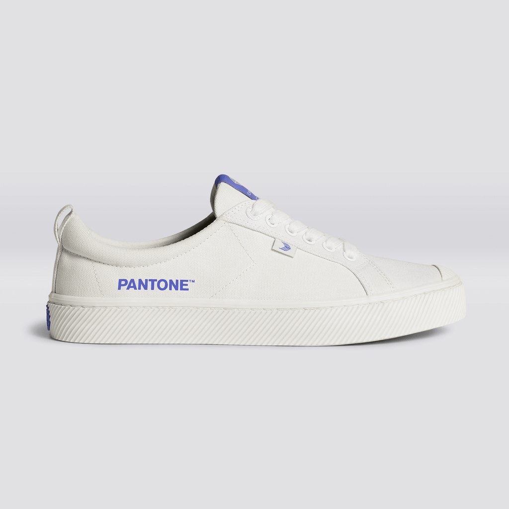 OCA LOW Cariuma Low Top Tela Vegan Off-White / Very Peri Canvas Homme | CPD-9114879